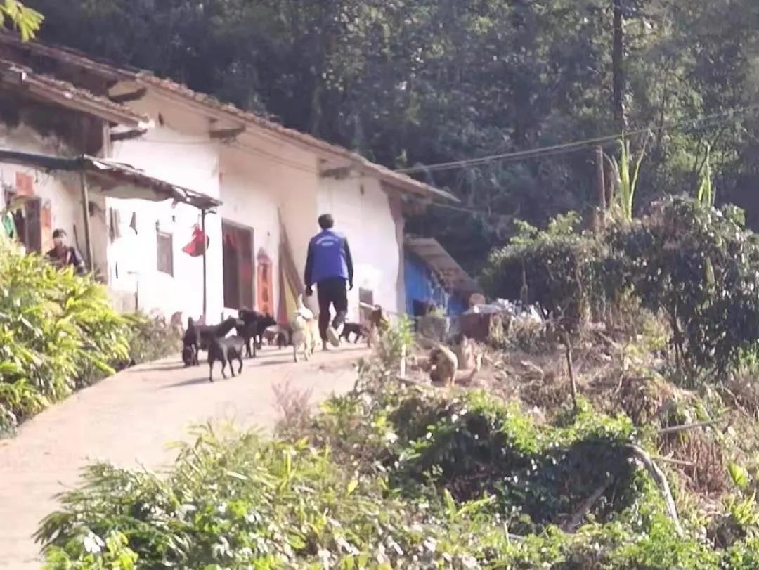 阳春房地一体项目纪实丨无悔青春多砥砺，，，，，最是奋斗动人心