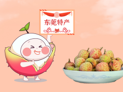 漫话奇发28丨一颗有“故事”的荔枝！