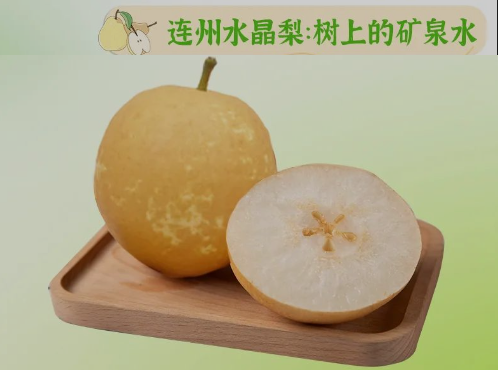 “桃李”酷暑，，，，，，，，清凉一夏