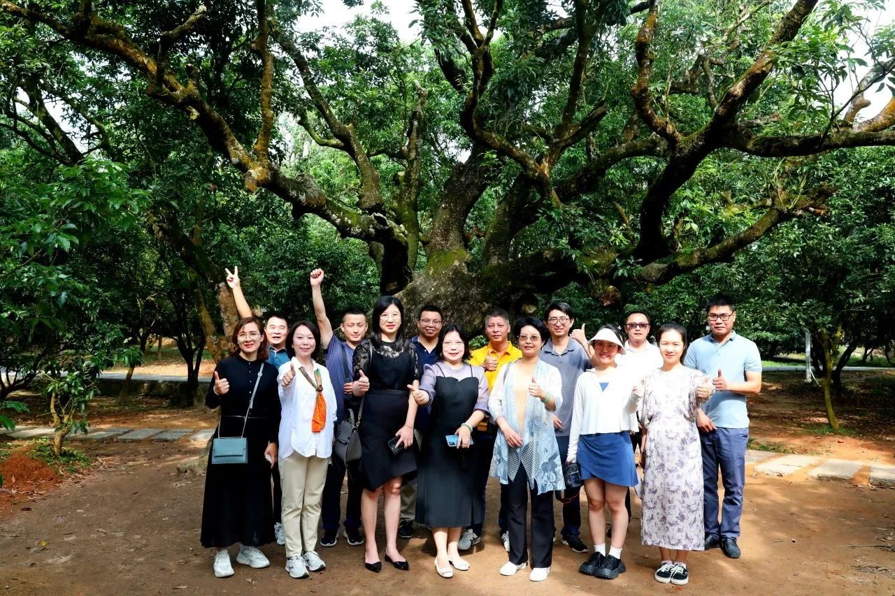 奇发28集团作为省国土空间生态修复协会轮值会长带队调研粤西全域土地综合整治工作