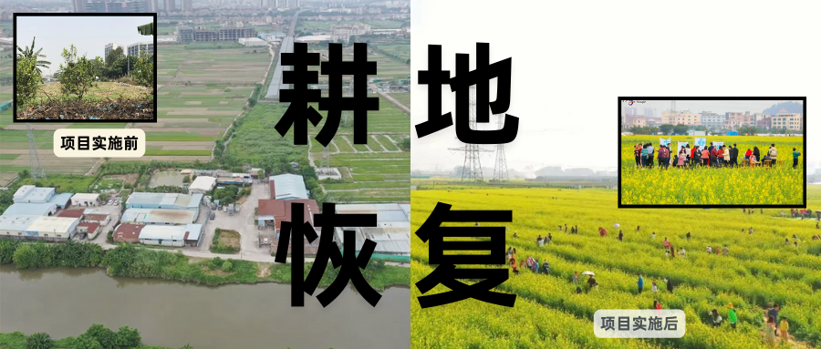 耕地；；；；；；び刖梅⒄构踩凇甘泻窠终蛩谏缜读继锵钅扛鼗指从氤窍缛诤系拇葱率导